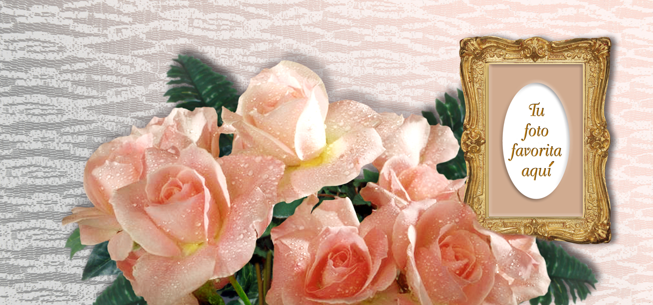 Bouquet Of Roses Peach (Spanish)